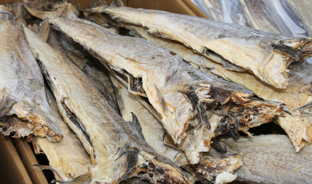 Norway stockfish companies