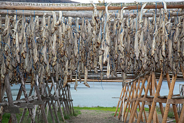 Stockfish distributors in Norway
