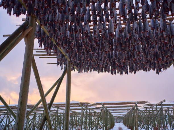 Stockfish distributors in Norway