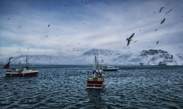 Stockfish distributors in Norway