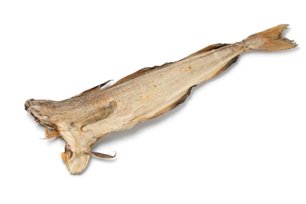 stockfish for sale in Norway