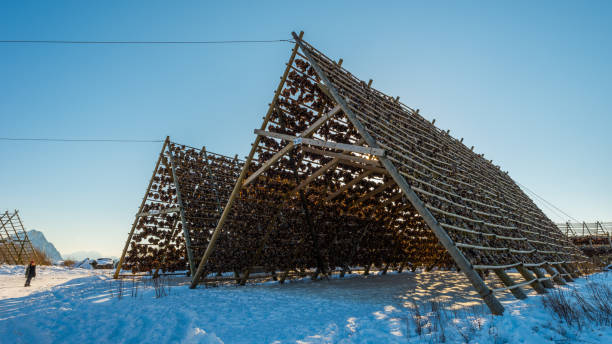 stockfish price in Norway