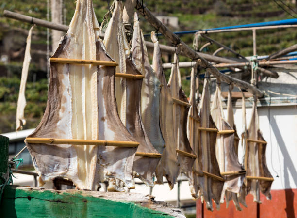 where to buy stockfish in Norway