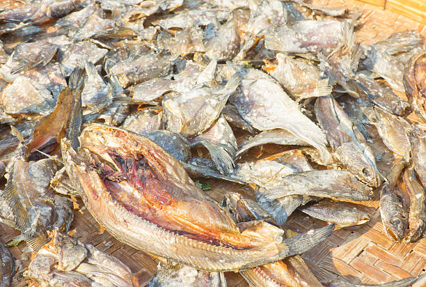 Where to Buy Stockfish in Norway